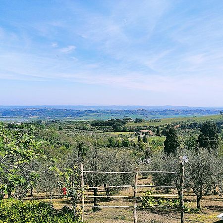 La Casina Di Colle - Appartamento Rustico Sulle Colline Di Pisa Casciana Terme Bagian luar foto